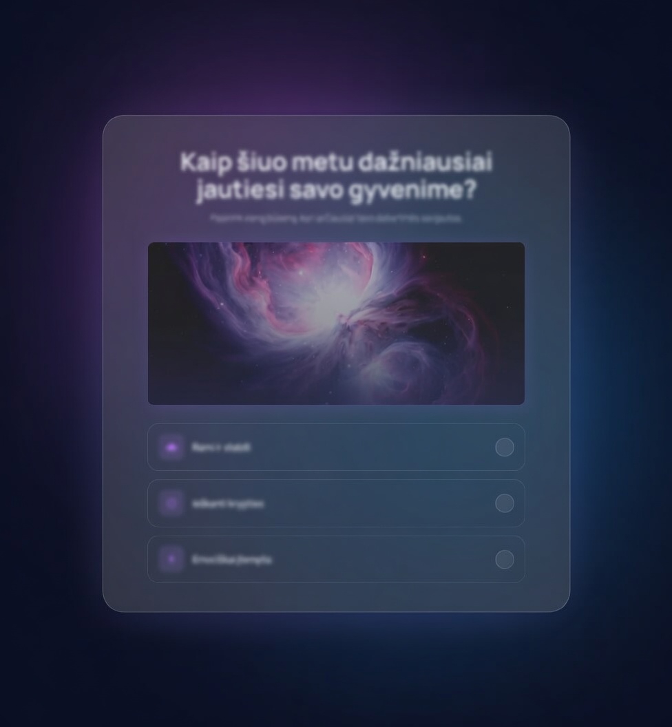 Klausimyno peržiūra tamsiame režime